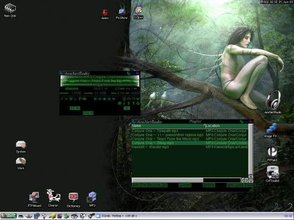 my actual Amiga WB 3.9