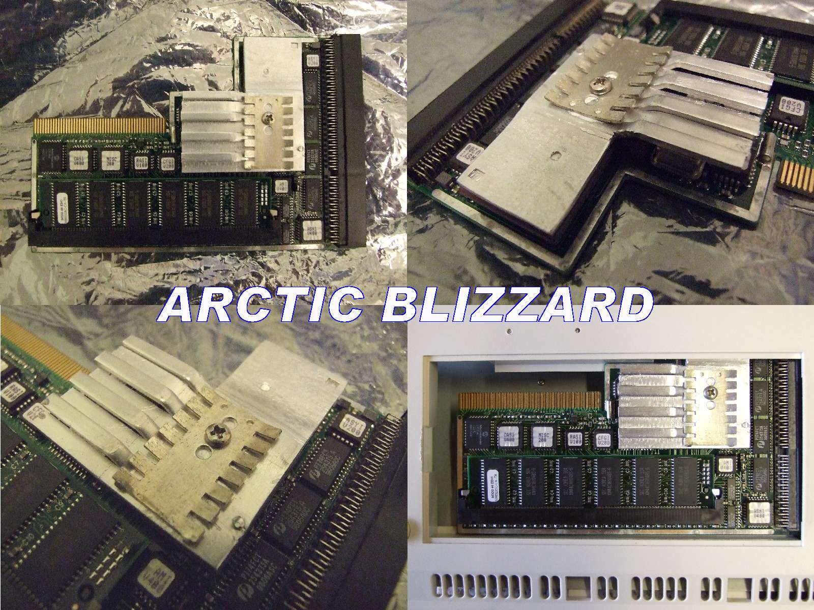 ARCTIC BLIZZARD