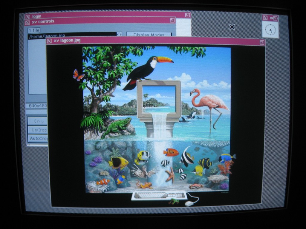 Amiga Unix on Picasso II+