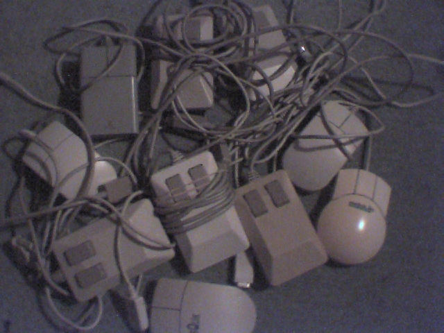 It's official, mice breed alot!