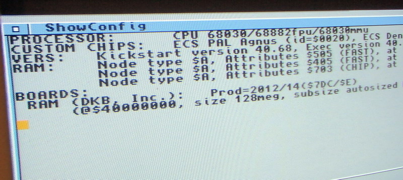 My new DKB3128 with 128MB on A3000!!!