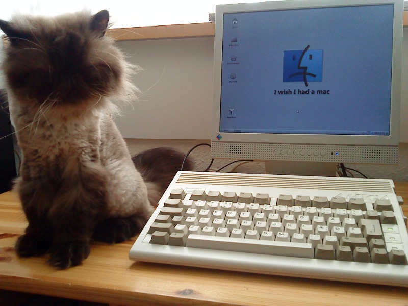 FelixFurball & MiggyBox