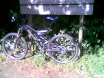 My finished bike!