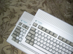 Amiga siblings