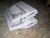 Amiga siblings 2
